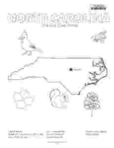 sc state bird free printable coloring pagesouth carolina state bird sc bird state 1 1