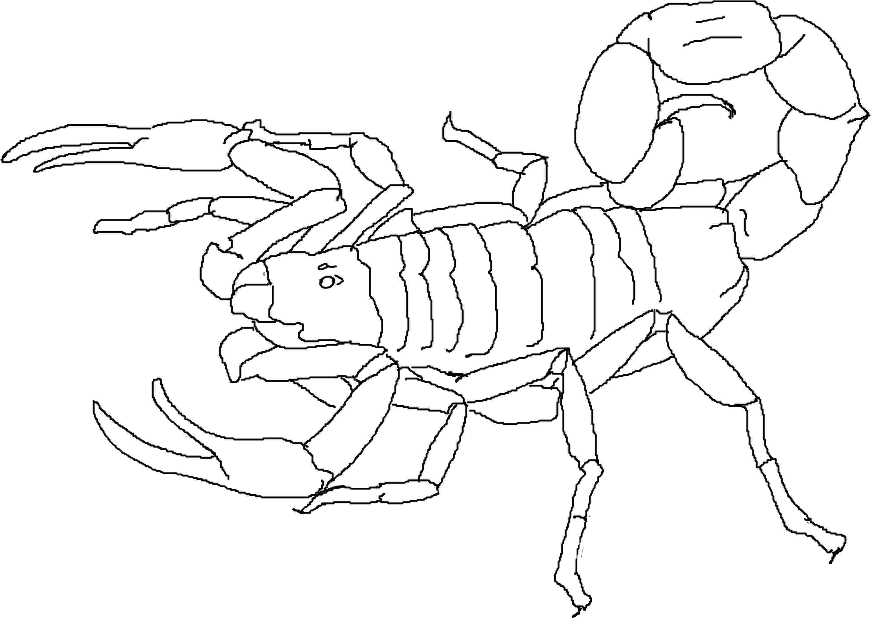 scorpion pictures to color free printable scorpion coloring pages for kids scorpion pictures to color 