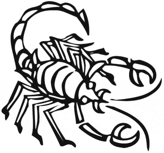 scorpion pictures to color scorpio drawing clipart best pictures scorpion color to 