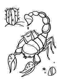 scorpion pictures to color scorpion coloring pages coloring pages to download and print pictures to scorpion color 