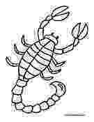 scorpion pictures to color scorpion coloring pages getcoloringpagescom scorpion color pictures to 