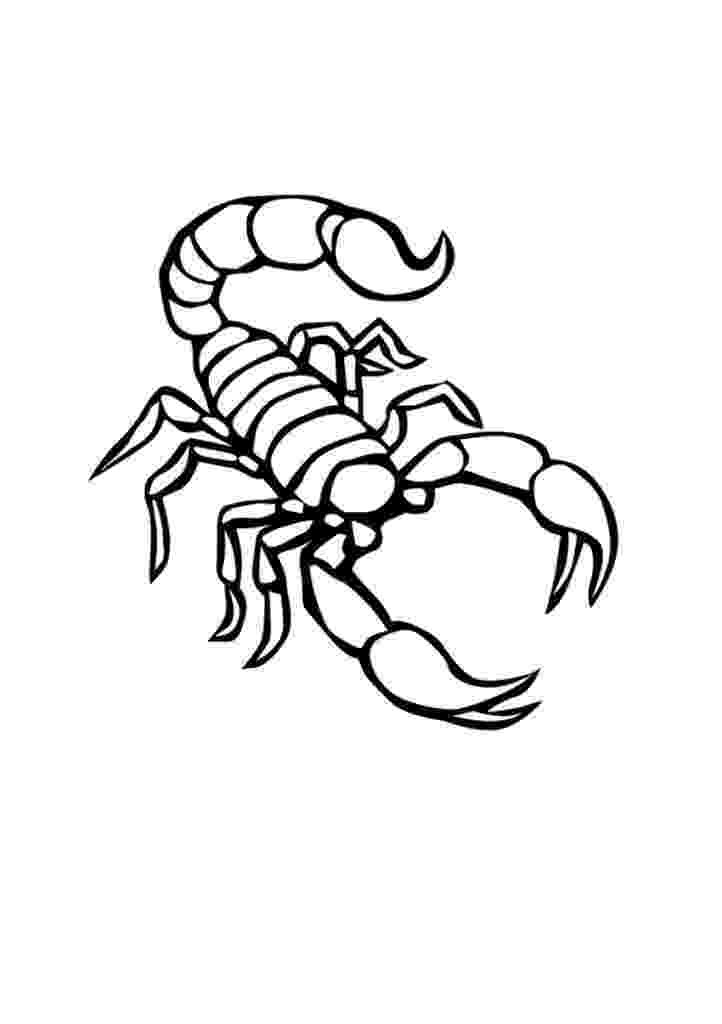 scorpion pictures to color scorpion coloring pages getcoloringpagescom to pictures scorpion color 
