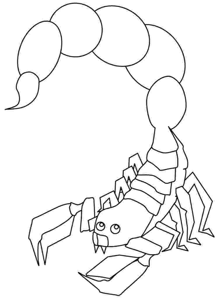 scorpion pictures to color scorpion coloring pages to download and print for free pictures to scorpion color 