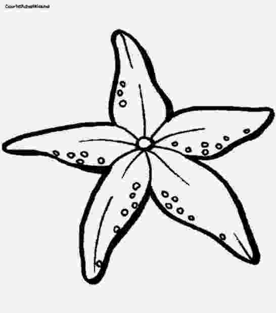 sea star pictures to color printable starfish coloring pages for kids cool2bkids color star pictures sea to 