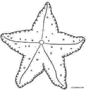sea star pictures to color printable starfish coloring pages for kids cool2bkids to star sea color pictures 