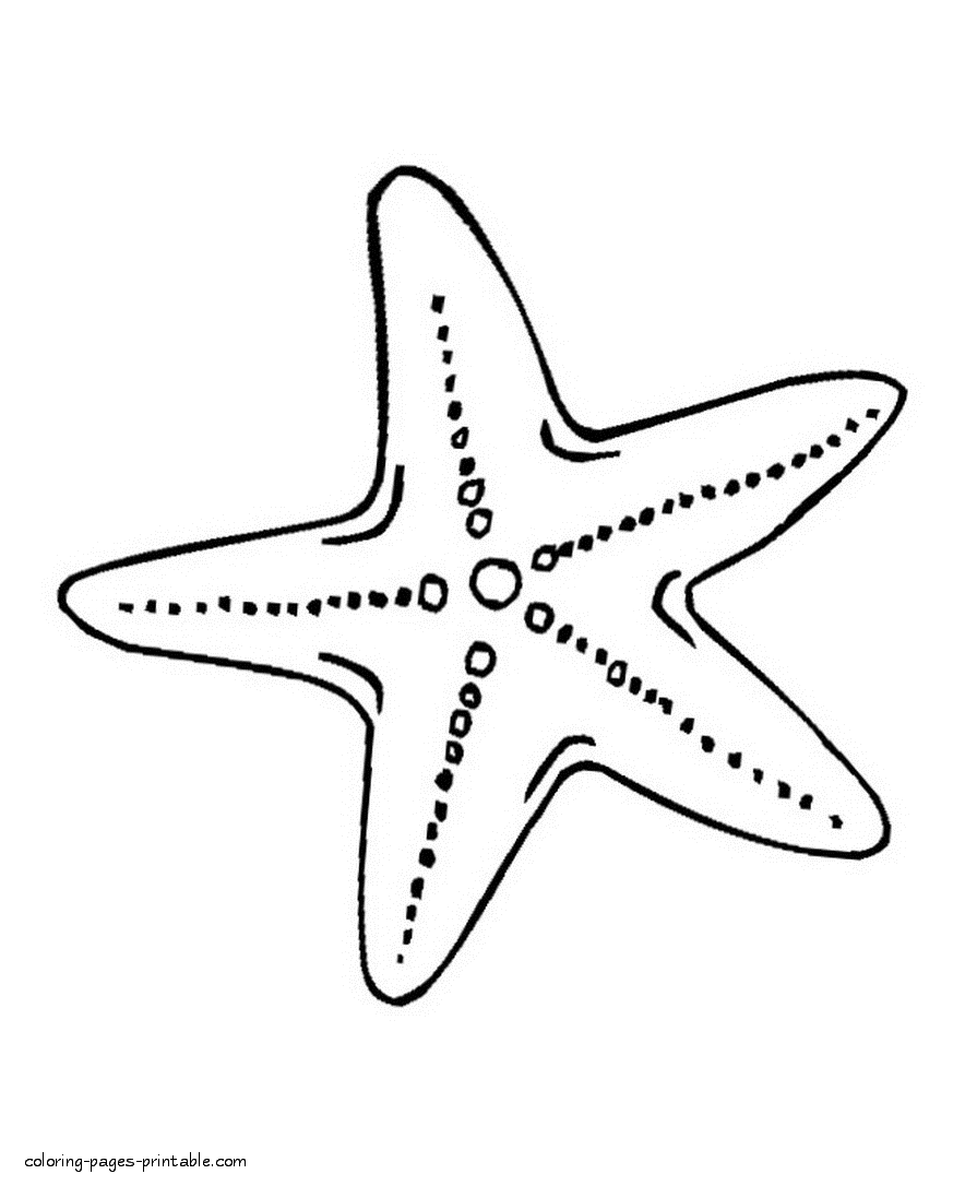 sea star pictures to color sea star drawing at getdrawingscom free for personal pictures color star sea to 