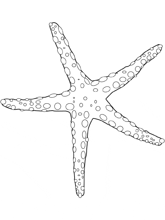 sea star pictures to color starfish coloring pages getcoloringpagescom color sea to star pictures 