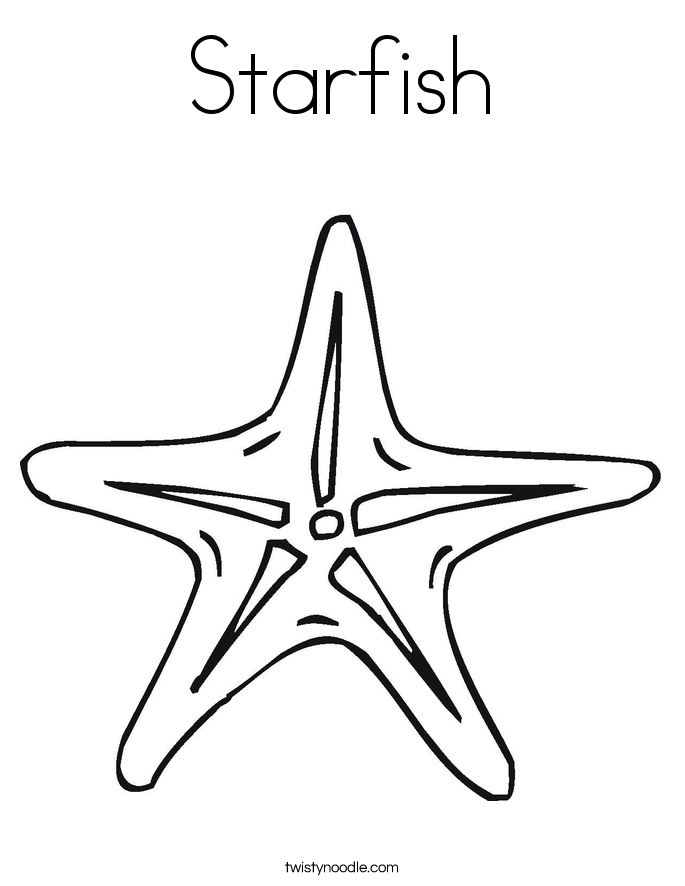 sea star pictures to color starfish drawing template at getdrawingscom free for to pictures color sea star 