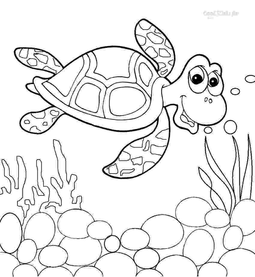 sea turtle to color green sea turtle coloring page free printable coloring pages sea color turtle to 