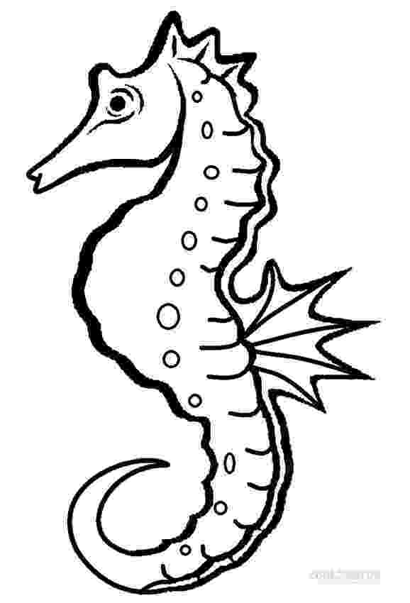 seahorses coloring pages 20 free printable seahorse coloring pages pages coloring seahorses 