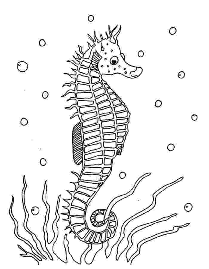 seahorses coloring pages printable seahorse coloring pages for kids cool2bkids pages coloring seahorses 1 1