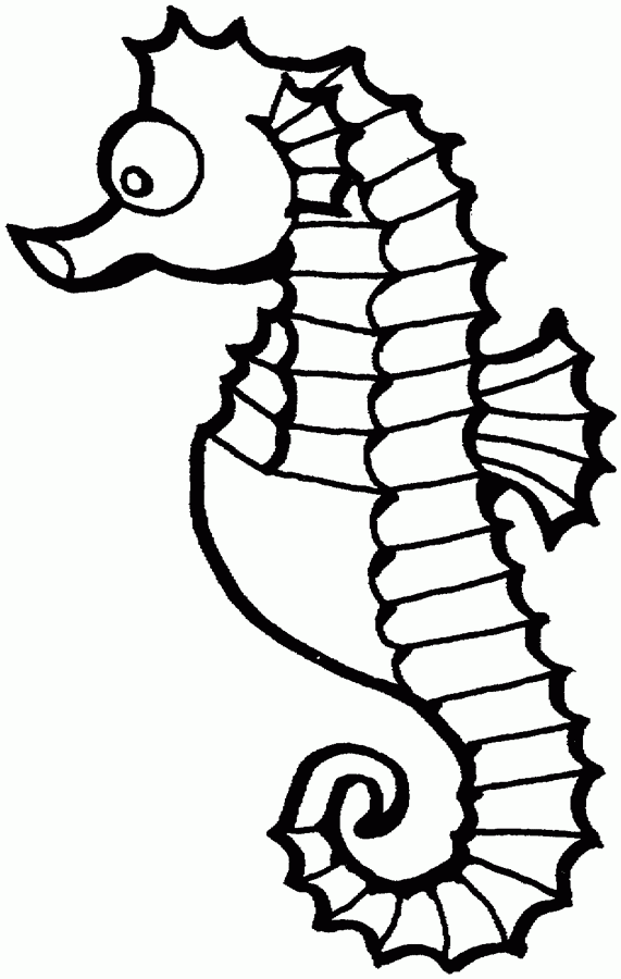 seahorses coloring pages seahorse free printable coloring pages coastal decor seahorses pages coloring 