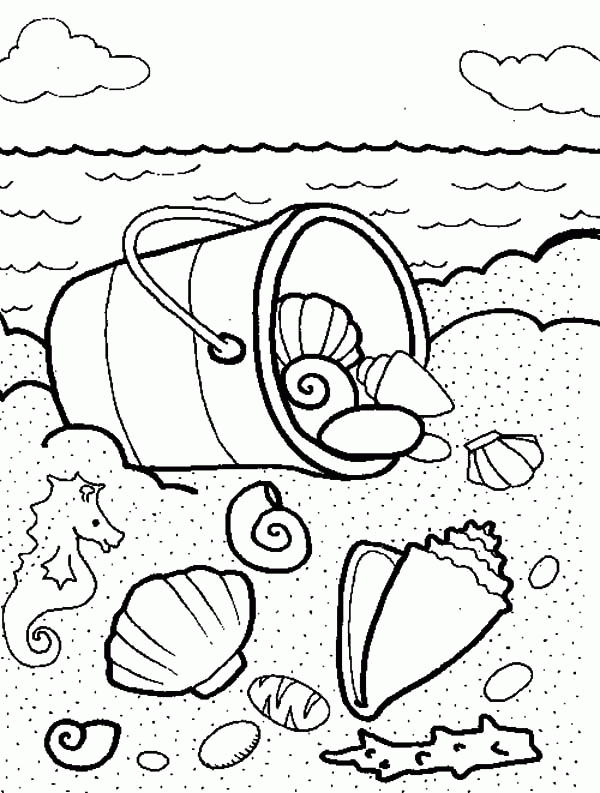 seashell coloring page beach shells coloring pages download and print for free seashell page coloring 