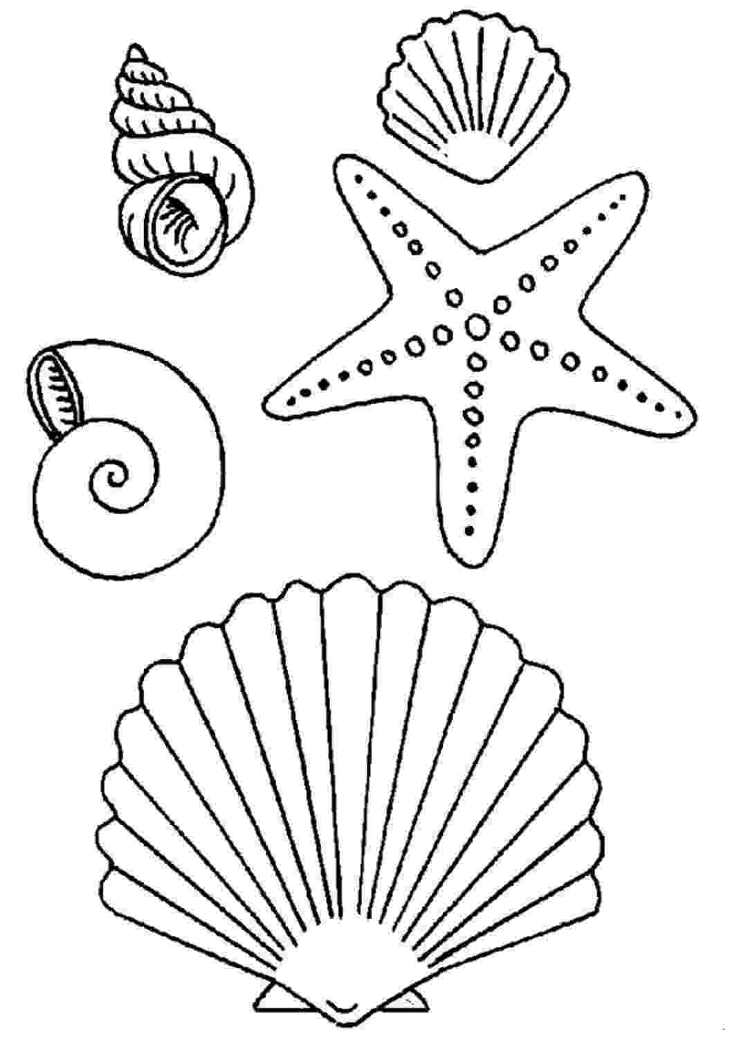seashell coloring page seashell coloring pages 1111 seashell page coloring 