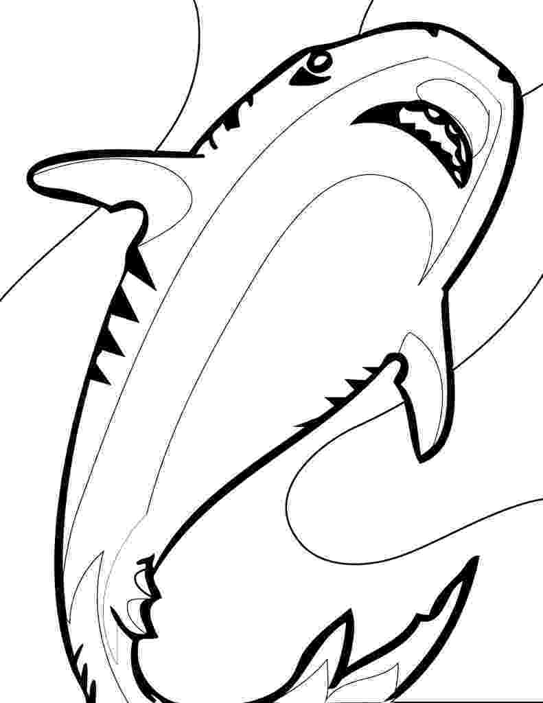 shark printables free printable shark coloring pages for kids printables shark 1 3