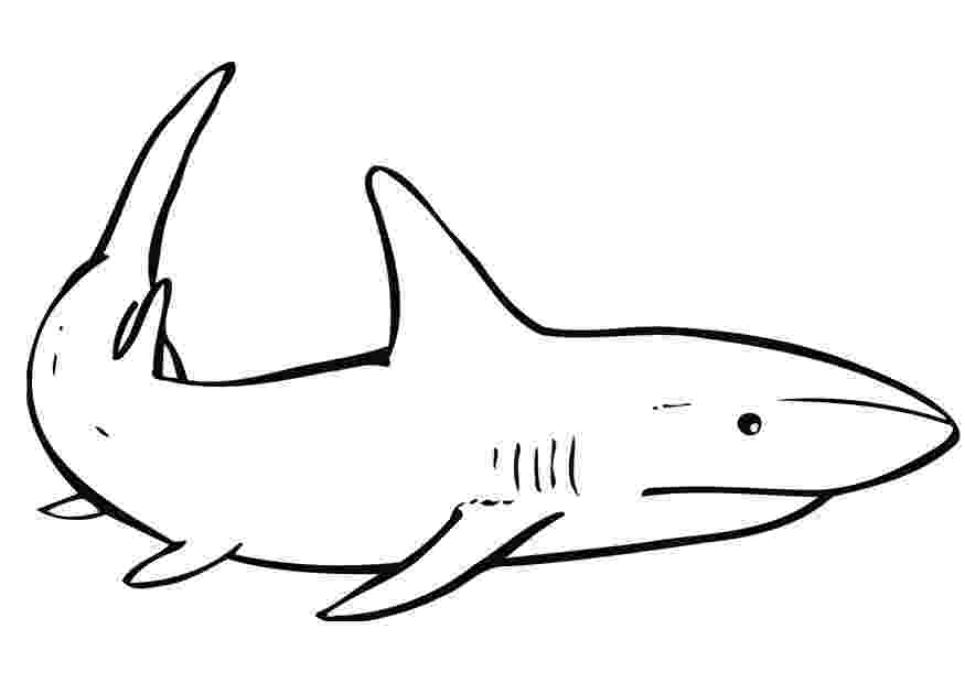shark printables free printable shark coloring pages for kids shark printables 