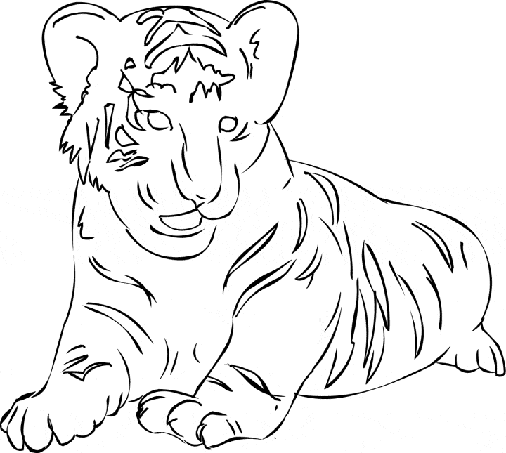 siberian tiger coloring page siberean tiger coloring page animals town animals coloring siberian page tiger 