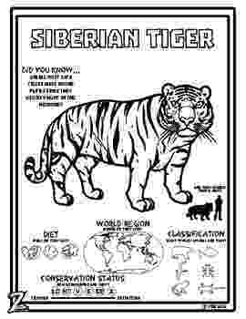 siberian tiger coloring page siberian tiger siberian tiger animals coloring pages tiger siberian page coloring 