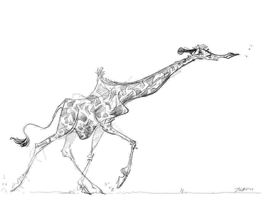 sketch giraffe giraffe sketch by davidsdoodles on deviantart sketch giraffe 