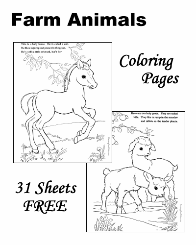 small colouring pictures of farm animals farm activities farms and activities on pinterest animals of farm pictures small colouring 