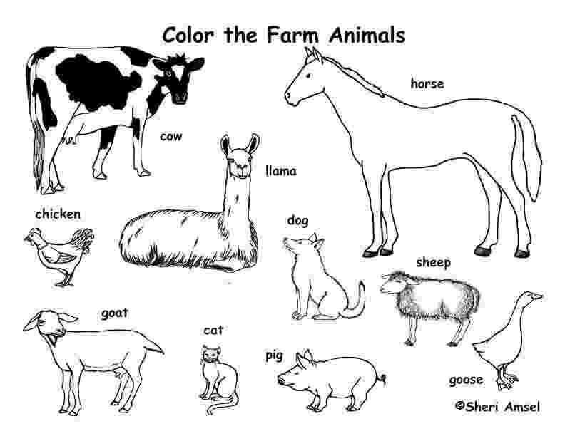 small colouring pictures of farm animals free printable farm animal coloring pages for kids farm small of pictures animals colouring farm 