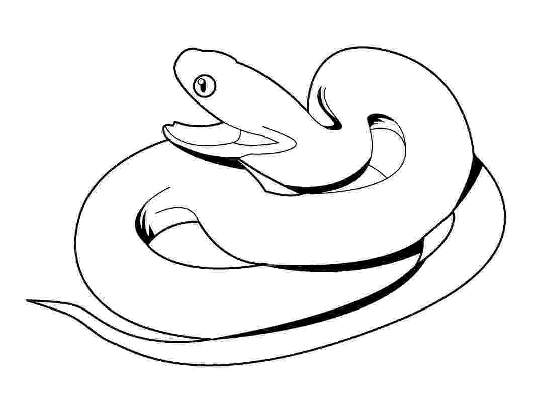 snake colouring picture free printable snake coloring pages for kids animal place colouring picture snake 