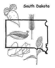 south dakota state flag coloring page usa states state of south dakota coloring pages state coloring south flag dakota page 