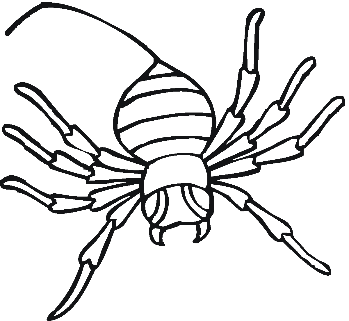 spider coloring free printable spider coloring pages for kids cool2bkids coloring spider 
