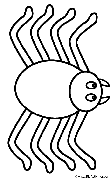 spider coloring giant tarantula spider coloring sheet spider coloring 