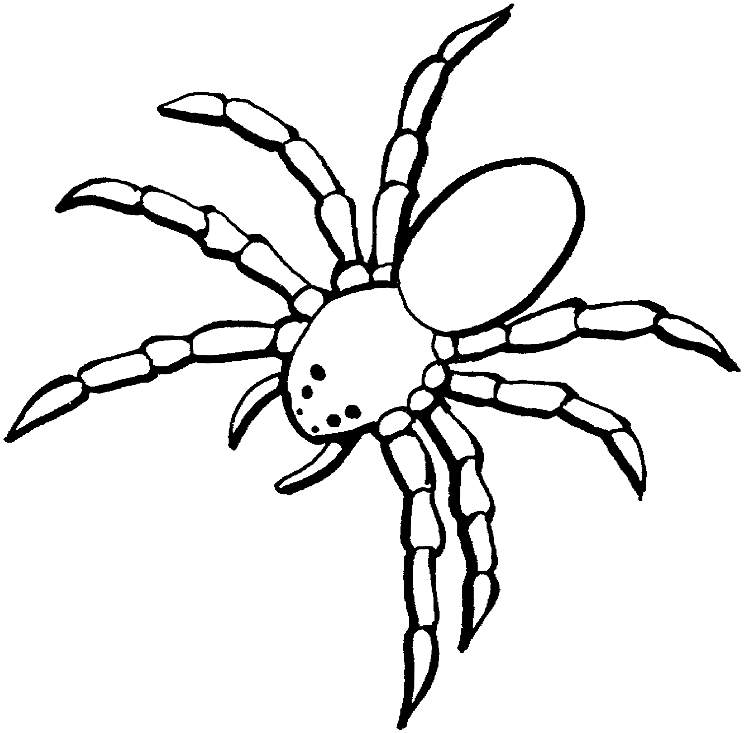 spider coloring spider coloring pages getcoloringpagescom coloring spider 