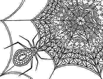 spider web coloring page spider coloring pages getcoloringpagescom web page coloring spider 