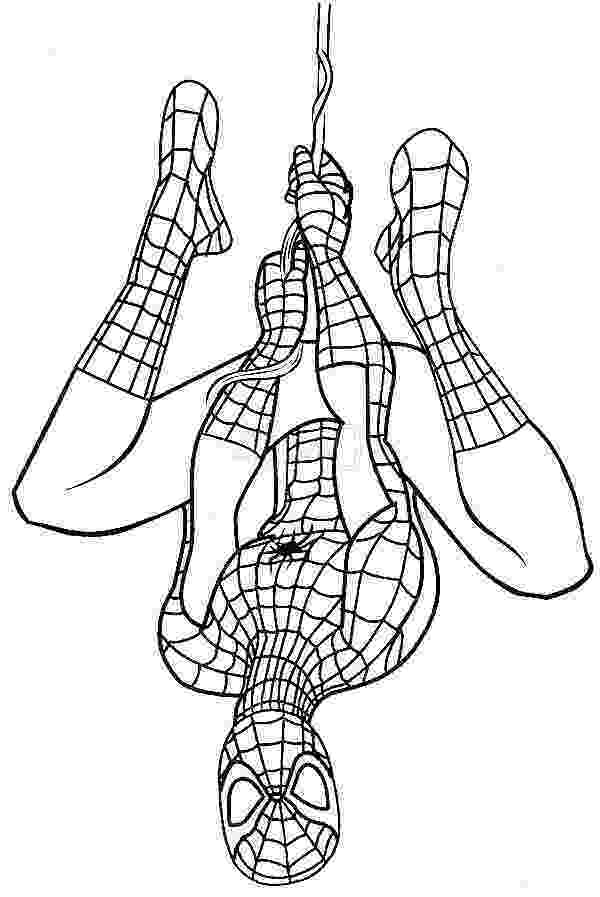 spiderman color sheet spiderman coloring page download for free print color sheet spiderman 