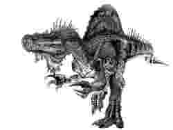 spinosaurus pictures bonus fight spinosaurus marocannus vs suchomimus pictures spinosaurus 
