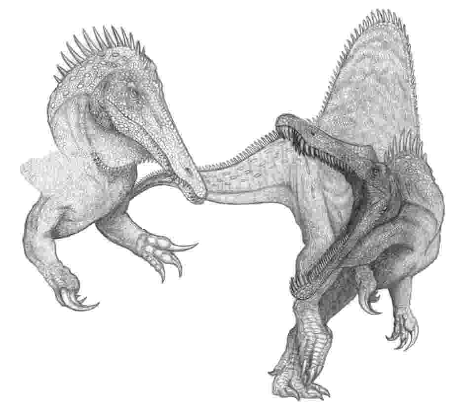 spinosaurus pictures spinosaurus study by ginger ketchup on deviantart spinosaurus pictures 