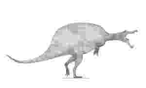spinosaurus pictures utahraptor by monopteryx on deviantart pictures spinosaurus 