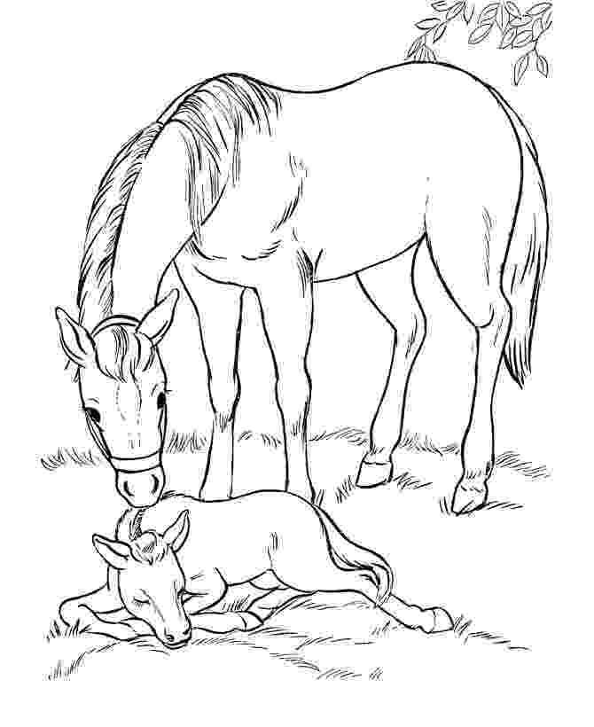 spirit the horse coloring pages 31 best spirit coloring pages images on pinterest horse pages the coloring horse spirit 