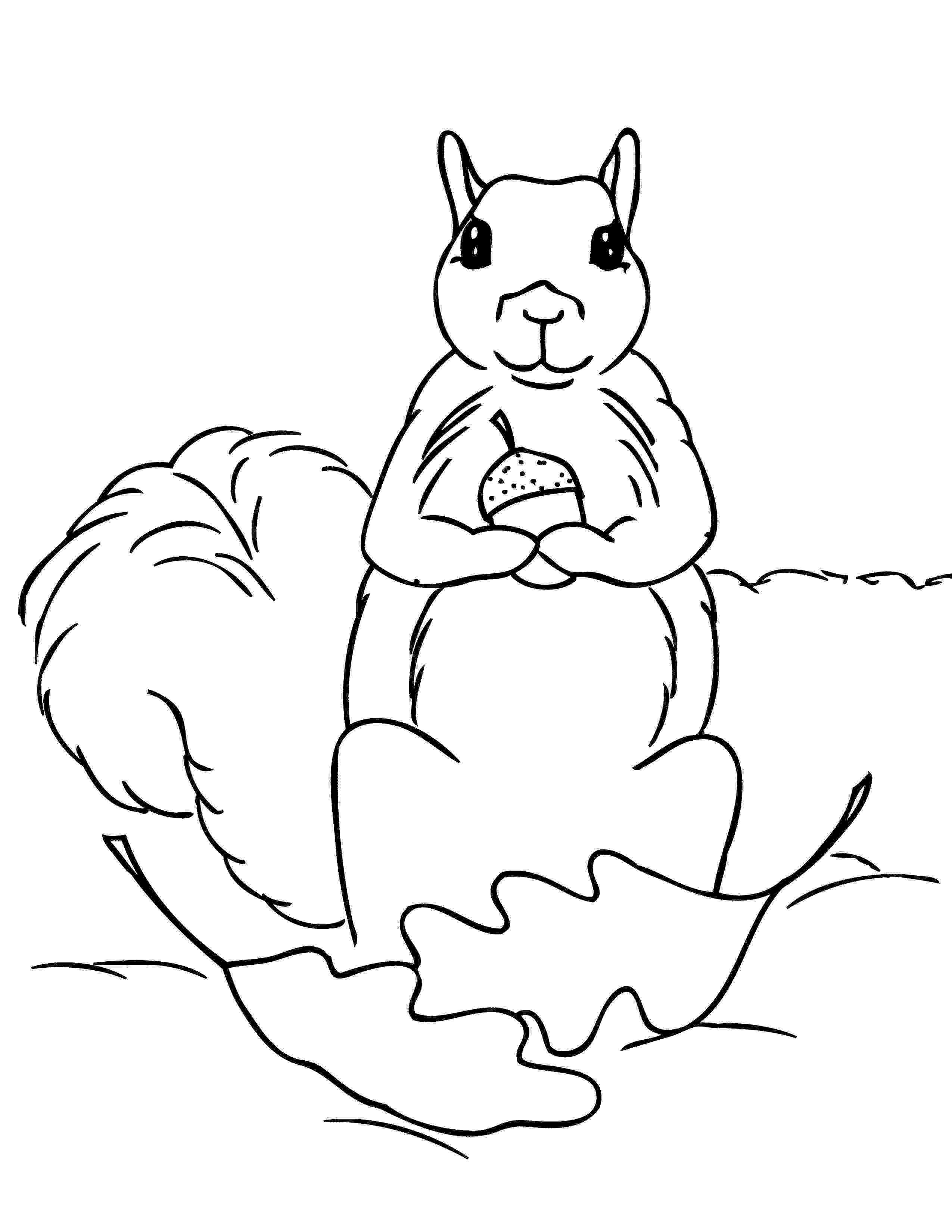 squirrel coloring page free printable squirrel coloring pages for kids animal place coloring squirrel page 