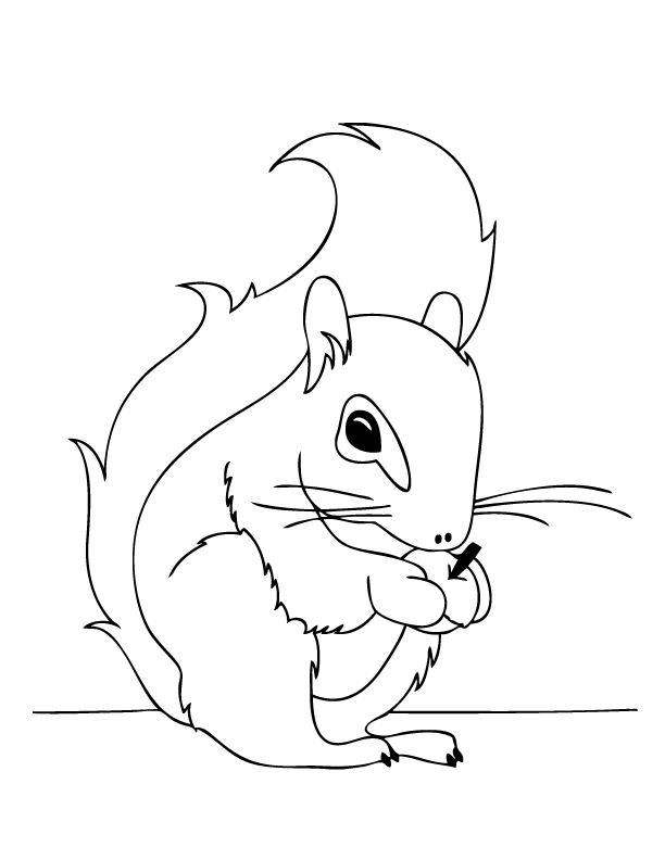 squirrel coloring page free printable squirrel coloring pages for kids squirrel coloring page 
