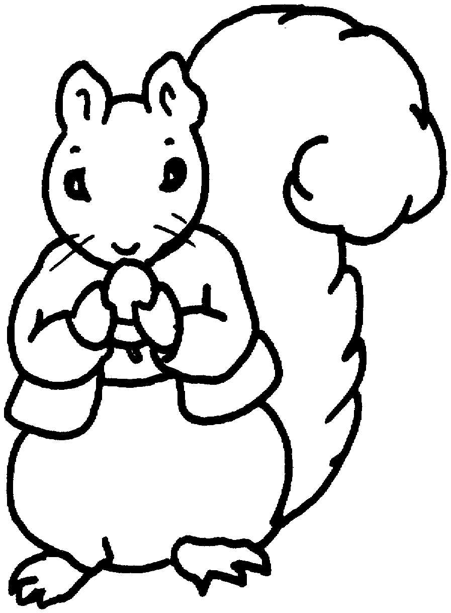 squirrel coloring page free squirrel pictures to print download free clip art coloring squirrel page 