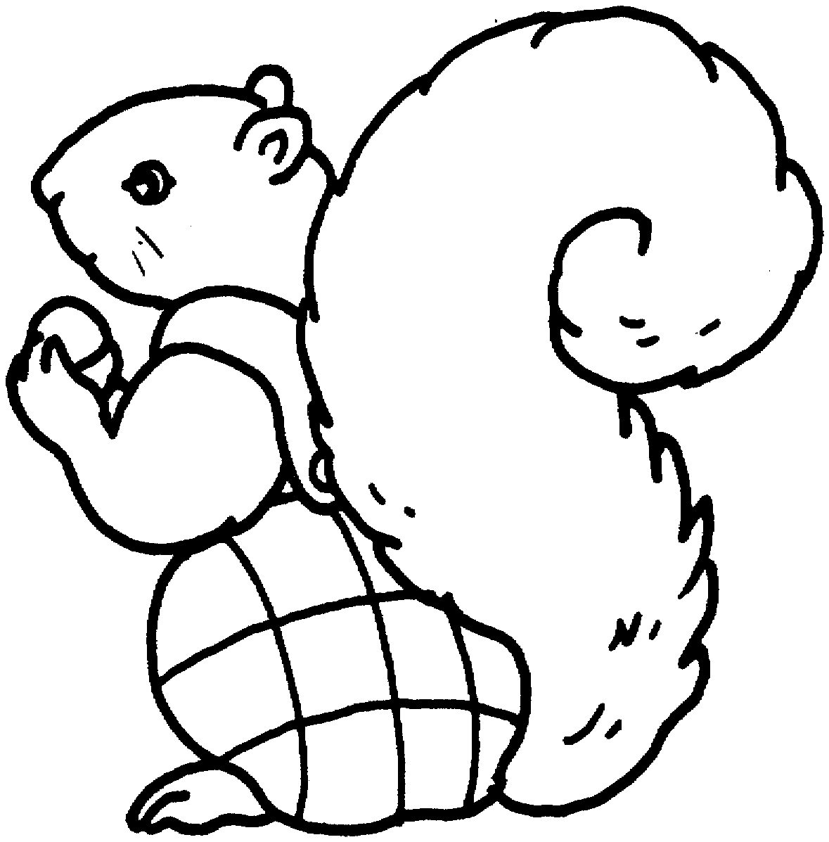 squirrel coloring page redirecting to httpwwwsheknowscomparentingslideshow squirrel page coloring 