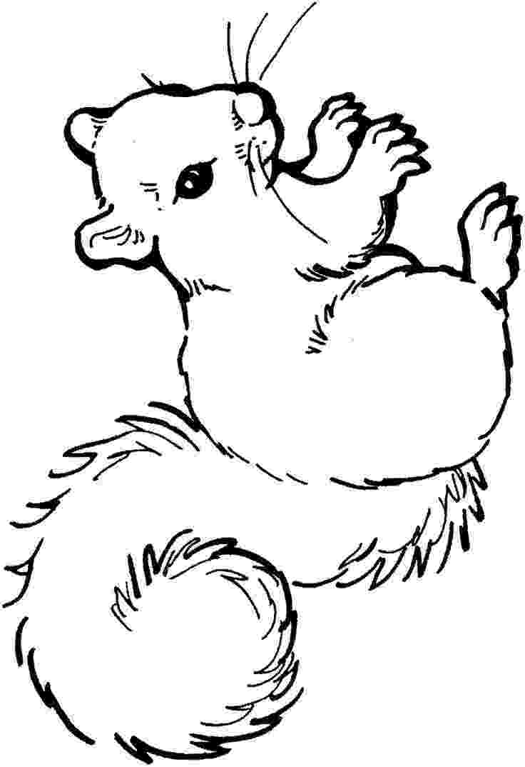 squirrel coloring pages free free printable squirrel coloring pages for kids animal place coloring pages squirrel free 