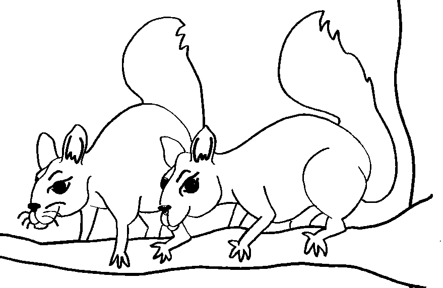 squirrel coloring pages free free printable squirrel coloring pages for kids animal place pages squirrel free coloring 
