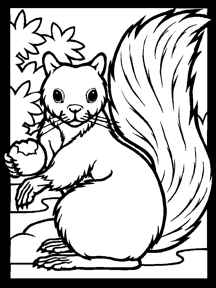 squirrel coloring pages free free printable squirrel coloring pages for kids squirrel coloring pages free 