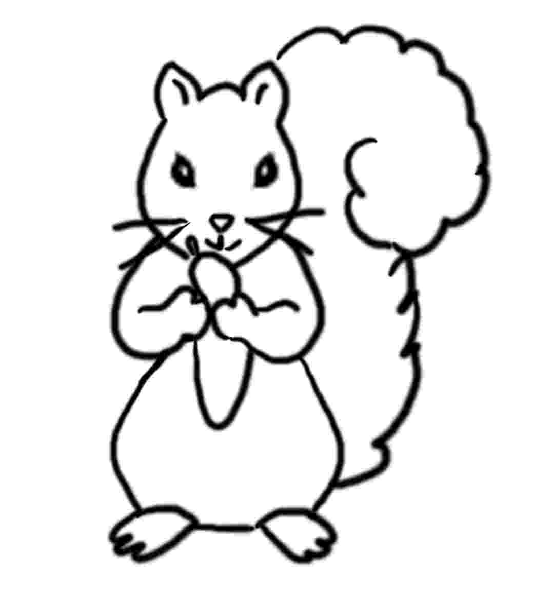squirrel coloring pages free free squirrel coloring pages free coloring pages squirrel 