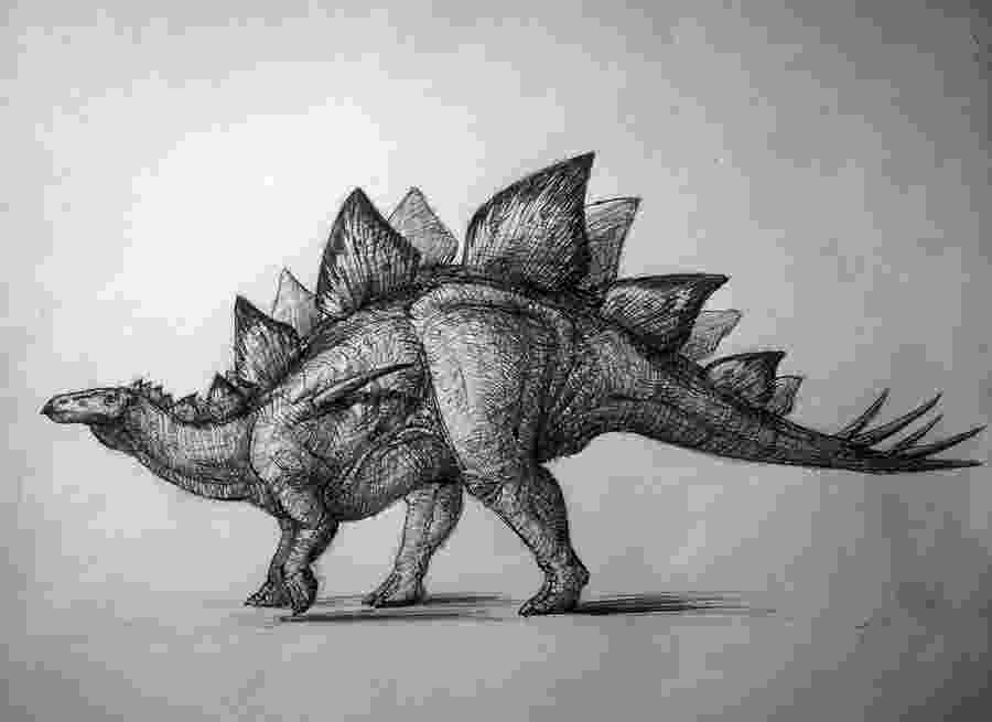 stegosaurus pictures stegosaurus coloring pages hellokidscom pictures stegosaurus 