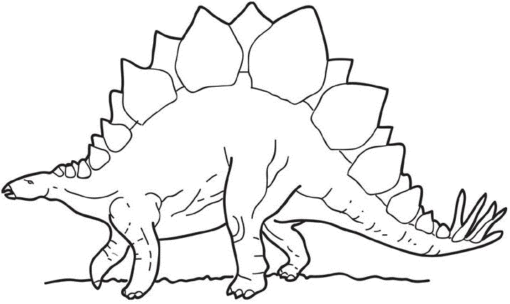 stegosaurus pictures stegosaurus drawing at getdrawings free download stegosaurus pictures 
