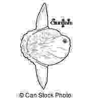 sunfish pictures color coloring pages coloring pages ocean sunfish printable pictures color sunfish 