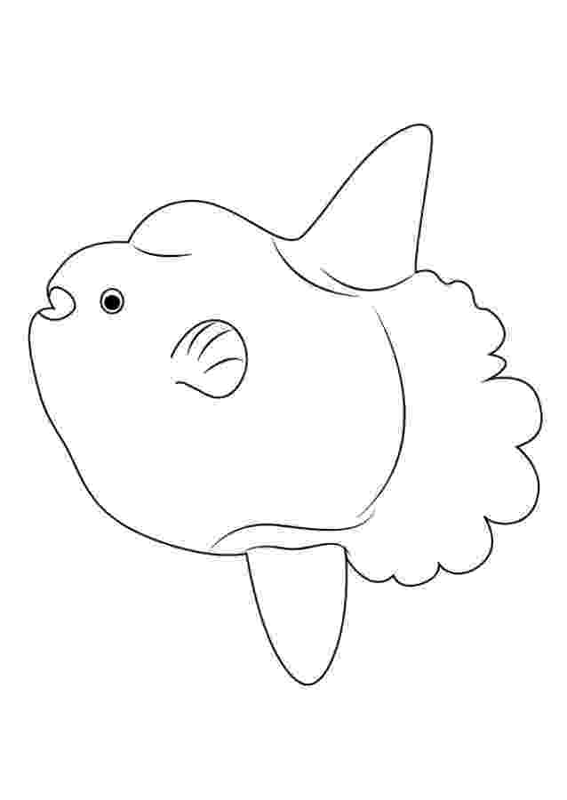 sunfish pictures color ocean sunfish coloring page audio stories for kids pictures sunfish color 