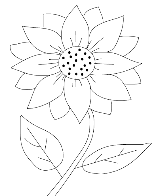 sunflower for coloring fall flowers coloring pages at getdrawingscom free for coloring sunflower for 