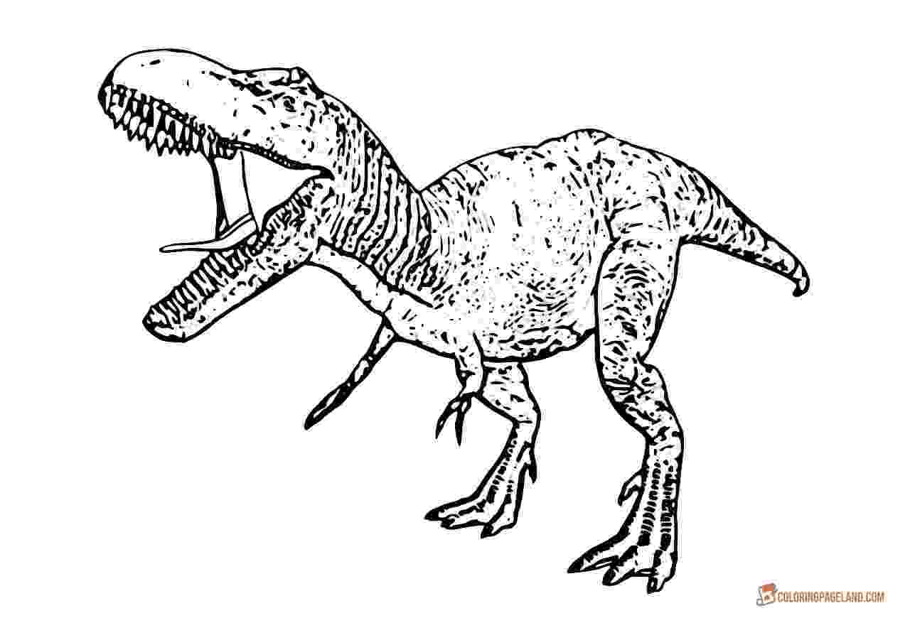 t rex pictures to print t rex coloring pages to download and print for free to t rex pictures print 